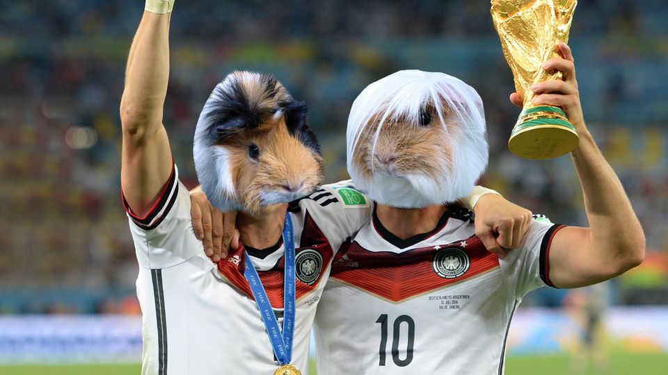 Das NEON-WM-Orakel: Deutschland gegen Schweden – Poldi legt sich auf einen Sieg fest Das NEON-WM-Orakel: Deutschland gegen Schweden – Poldi legt sich auf einen Sieg fest