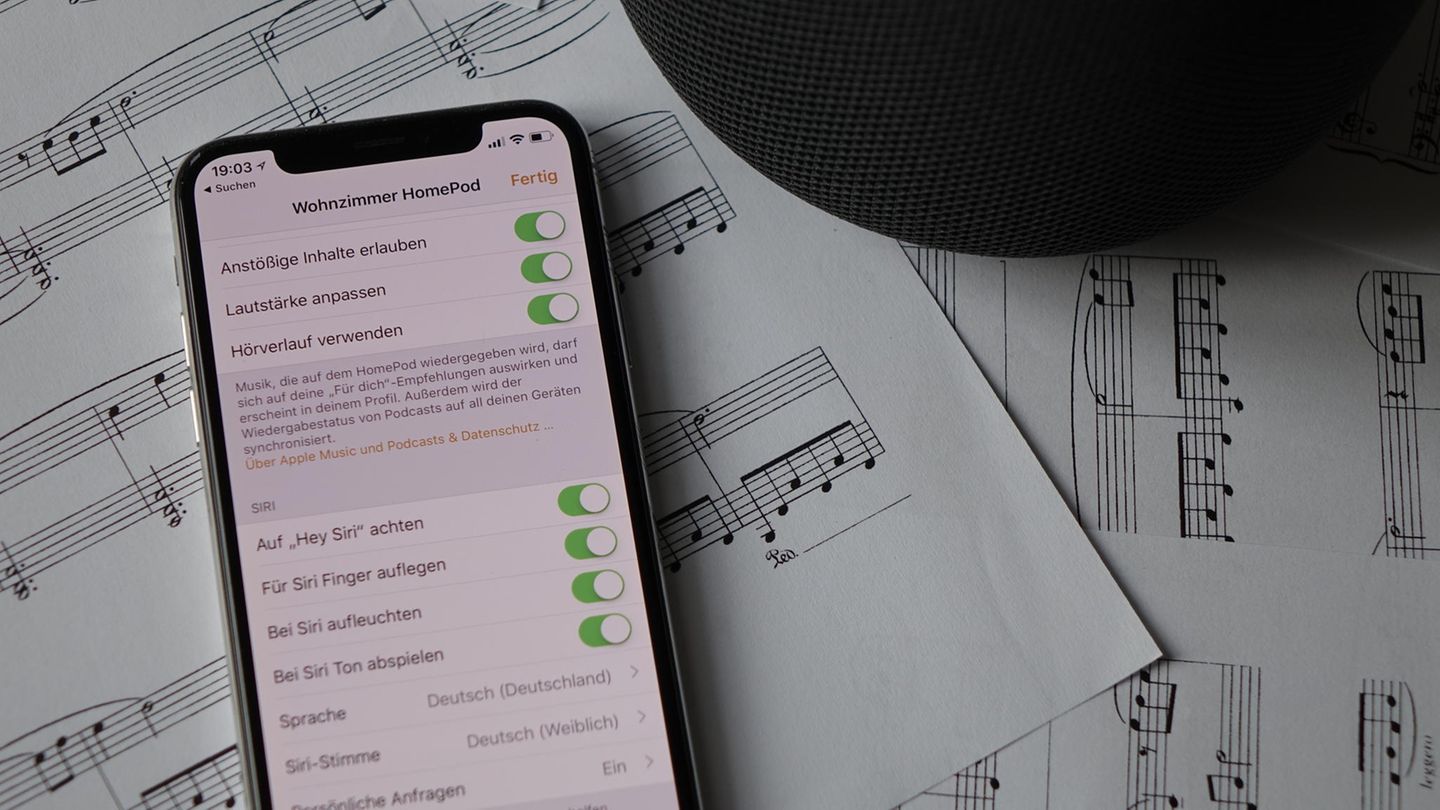 Auf dem iPhone kann man viele Details einstellen, etwa ob Siri auf die eingegangenen Nachrichten zugreifen darf.