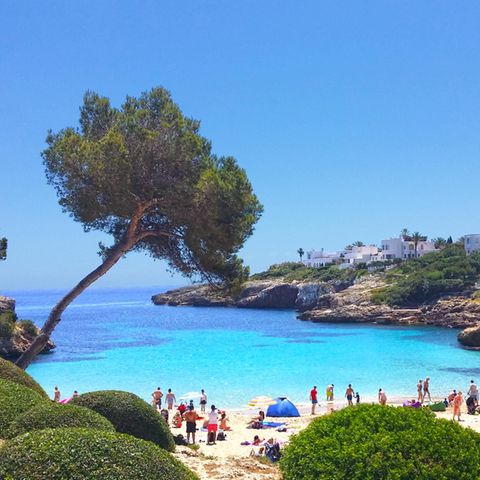 Die schönsten Buchten und Strände auf Mallorca