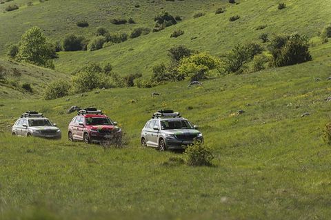 Skoda Euro Trek 2018