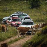 Skoda Euro Trek 2018