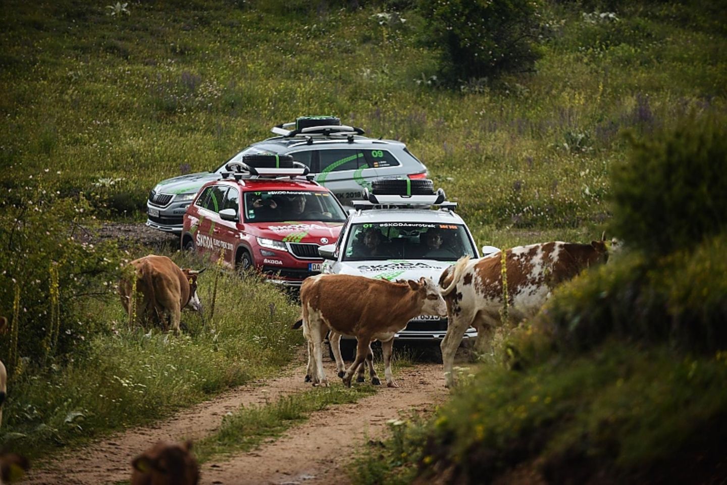 Skoda Euro Trek 2018