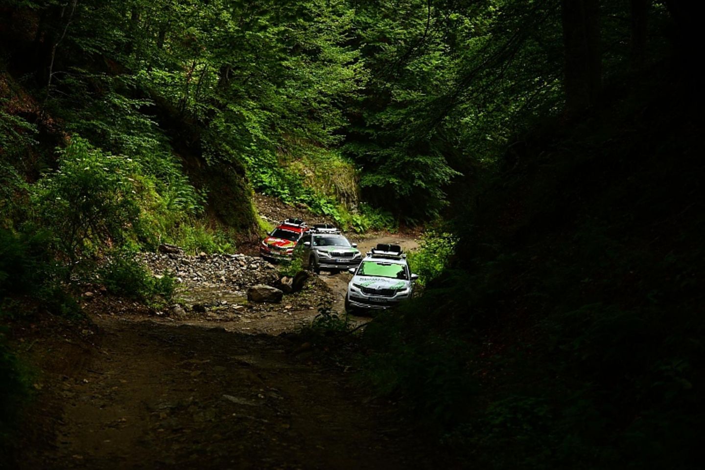 Skoda Euro Trek 2018