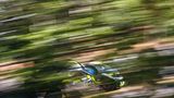 Pikes Peak 2018