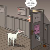 Erdogan-Cartoons: Die türkische Humorkanone