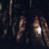 Der Wald ist seine Heimat. Dabei ist Ulrichs größter Wunsch, wieder richtig anzukommen. In einem Haus im Funkloch. Das sucht er schon seit Jahren. Erfolglos.