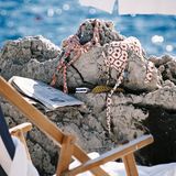 Akila Berjaoui: "The Last Days of Summer"