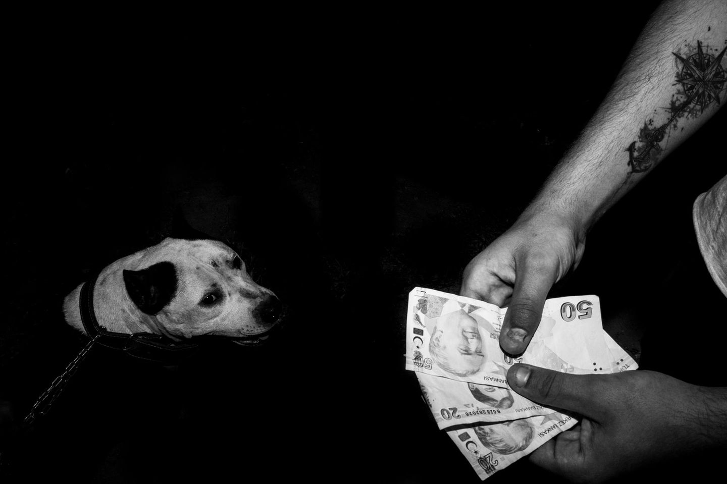 Gazi zieht nicht nur Verfolgte an, nicht nur die Ausgeschlossenen, sondern auch Kriminelle. Hier geht, was andernorts verboten ist – wie das Wetten auf Kampfhunde. Während die Mafia nebenan ihren Drogenhandel abwickelt