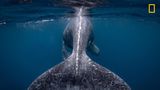 National Geographic 2018 Travel Photographer of the Year