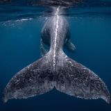 National Geographic 2018 Travel Photographer of the Year