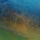 Kategorie Natur, 2. Platz: Aus einem Hubschrauber hat Hai J. am Lake Natron in Tansania Hunderte von Flamingos fotografiert, bevor sie zum Weiterflug abheben.