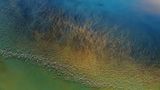 Kategorie Natur, 2. Platz: Aus einem Hubschrauber hat Hai J. am Lake Natron in Tansania Hunderte von Flamingos fotografiert, bevor sie zum Weiterflug abheben.