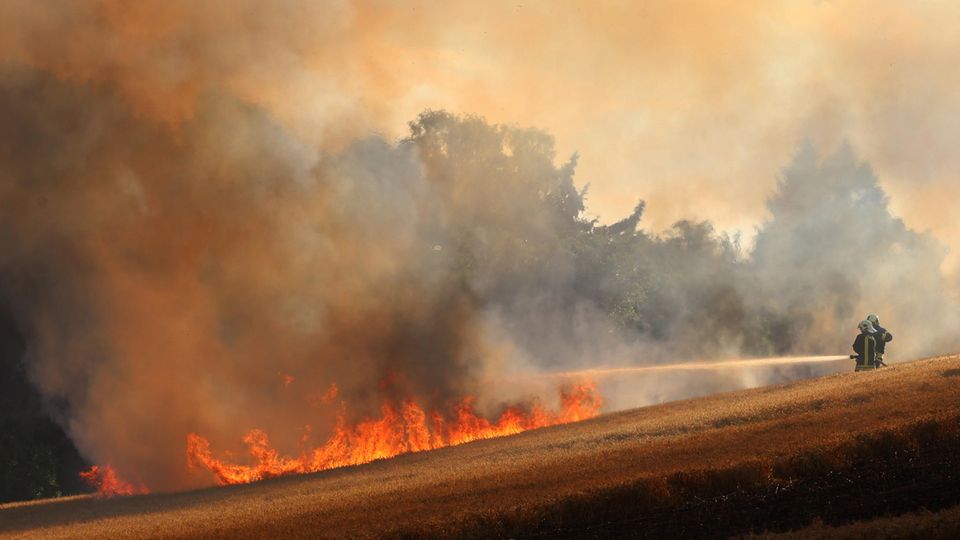 In Rostock löschen Feuerwehrleute ein Getreidefeld, das in Flammen steht