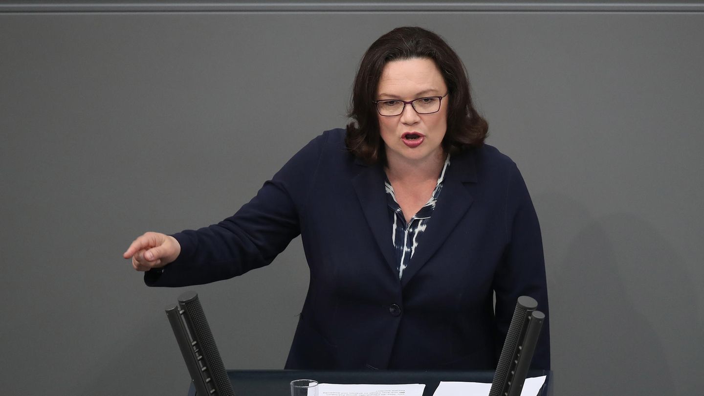 SPD-Partei- und Fraktionschefin Andrea Nahles