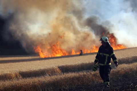 In Rostock löschen Feuerwehrleute ein Getreidefeld, das in Flammen steht