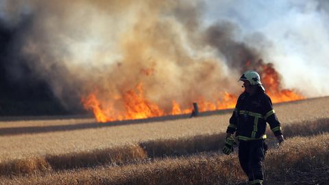 In Rostock löschen Feuerwehrleute ein Getreidefeld, das in Flammen steht