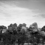 Die Sprengung des Zoo-Bunkers