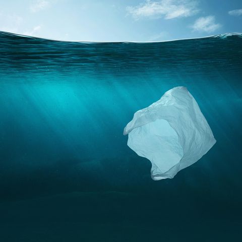 Eine Plastiktüte schwimmt im Wasser