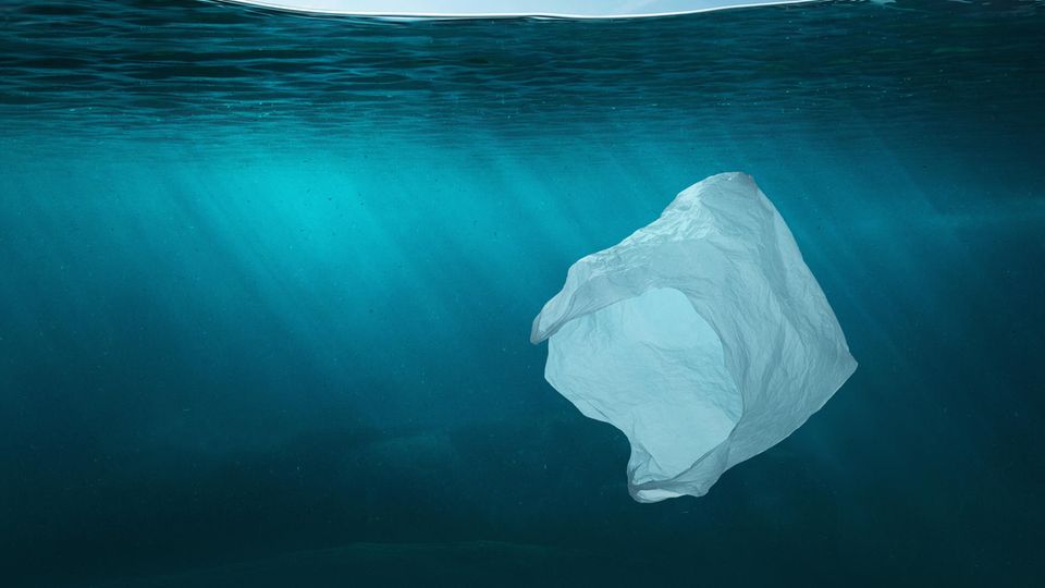 Eine Plastiktüte schwimmt im Wasser