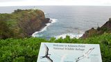 Stopp 5: Vogelparadies  Wieder im Norden angekommen, kann man nicht nur den 100 Jahre alten Leuchtturm von Kilauea bewundern, sondern vor allem Seevögel beobachten, die hier nisten, etwa Rotfußtölpel, Fregattvögel und Albatrosse. In dem Schutzgebiet gibt es zu­dem Delfine, Buckelwale und die gefährdete Mönchsrobbe.