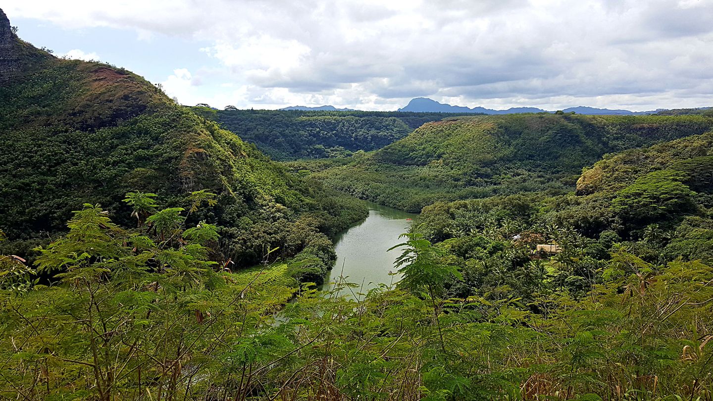 Stopp 4: Paddeln auf dem Wailua-Fluss  Der Wailua-Fluss mündet im Osten der Insel und galt einst als heilig. Noch heute stehen hier die Ruinen alter Tempel. Die meisten Besucher kommen aber, um an den palmen- und farn­gesäumten Ufern mit dem Kajak oder einem Tourboot entlangzufahren. Die Route ist etwa 32 Kilometer lang. Wer selber paddelt, braucht für die Strecke etwa acht Stunden.  Infos: www.kayakwailua.com und www.aliikayaks.com