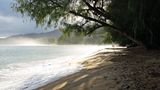 Stopp 6: Ab an den Strand  An der Nordküste liegt der Surferort Hanalei mit kleinen Boutiquen und vielen Restaurants. Die Seebrücke, heute ein beliebtes Fotomotiv, wurde Ende des 19. Jahrhunderts gebaut, um den hier gewonnenen Rohrzucker auf Schiffe zu verladen. Der Highway 56 führt weiter bis nach Tunnels Beach. Vor allem Schnorchler und Taucher lieben den Strand. Sein Name stammt von den Unterwasser-Höhlen, die aufsteigende Lava hier geformt hat.