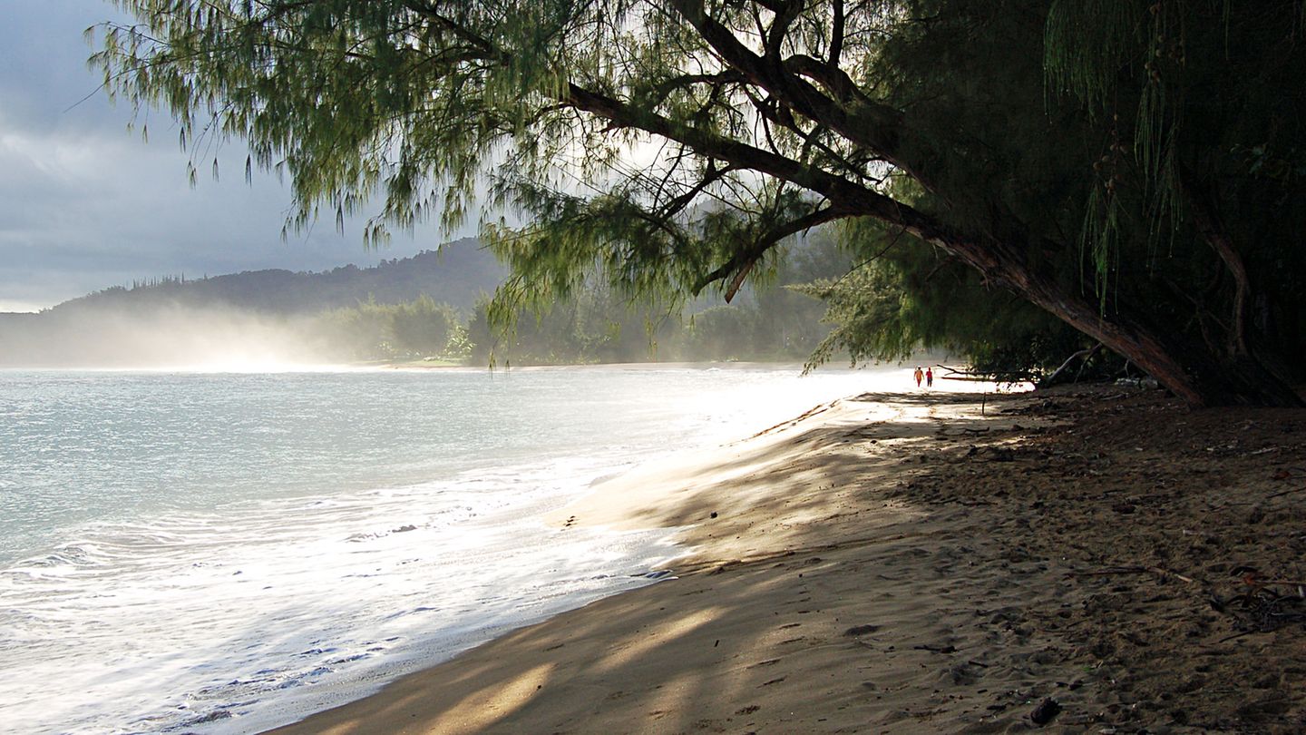 Roadtrip in Hawaii: Stopp 6: Ab an den Strand An der Nordküste liegt der Surferort Hanalei mit kleinen Boutiquen und vielen Restaurants. Die Seebrücke, heute ein beliebtes Fotomotiv, wurde Ende des 19. Jahrhunderts gebaut, um den hier gewonnenen Rohrzucker auf Schiffe zu verladen. Der Highway 56 führt weiter bis nach Tunnels Beach. Vor allem Schnorchler und Taucher lieben den Strand. Sein Name stammt von den Unterwasser-Höhlen, die aufsteigende Lava hier geformt hat. Stopp 6: Ab an den Strand An der Nordküste liegt der Surferort Hanalei mit kleinen Boutiquen und vielen Restaurants. Die Seebrücke, heute ein beliebtes Fotomotiv, wurde Ende des 19. Jahrhunderts gebaut, um den hier gewonnenen Rohrzucker auf Schiffe zu verladen. Der Highway 56 führt weiter bis nach Tunnels Beach. Vor allem Schnorchler und Taucher lieben den Strand. Sein Name stammt von den Unterwasser-Höhlen, die aufsteigende Lava hier geformt hat.