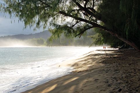 Stopp 6: Ab an den Strand  An der Nordküste liegt der Surferort Hanalei mit kleinen Boutiquen und vielen Restaurants. Die Seebrücke, heute ein beliebtes Fotomotiv, wurde Ende des 19. Jahrhunderts gebaut, um den hier gewonnenen Rohrzucker auf Schiffe zu verladen. Der Highway 56 führt weiter bis nach Tunnels Beach. Vor allem Schnorchler und Taucher lieben den Strand. Sein Name stammt von den Unterwasser-Höhlen, die aufsteigende Lava hier geformt hat.