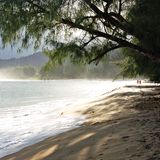 Stopp 6: Ab an den Strand  An der Nordküste liegt der Surferort Hanalei mit kleinen Boutiquen und vielen Restaurants. Die Seebrücke, heute ein beliebtes Fotomotiv, wurde Ende des 19. Jahrhunderts gebaut, um den hier gewonnenen Rohrzucker auf Schiffe zu verladen. Der Highway 56 führt weiter bis nach Tunnels Beach. Vor allem Schnorchler und Taucher lieben den Strand. Sein Name stammt von den Unterwasser-Höhlen, die aufsteigende Lava hier geformt hat.