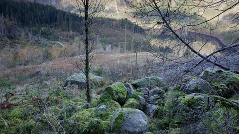 Der Fundort der Leiche: Das Isdal, ein Gletschertal in Norwegen