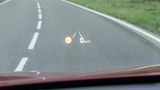Das Head-up-Display des Hyundai Santa Fe wird direkt auf die Frontscheibe gespiegelt