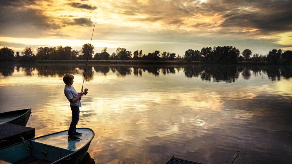 Am stillen Neuhofener Altrhein (südlich von Mannheim) lädt das saubere Wasser zum Angeln ein