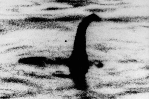 Angebliches Foto vom Ungeheuer von Loch Ness