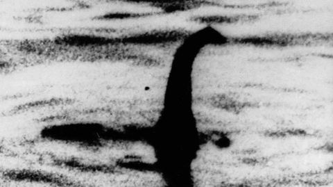 Angebliches Foto vom Ungeheuer von Loch Ness