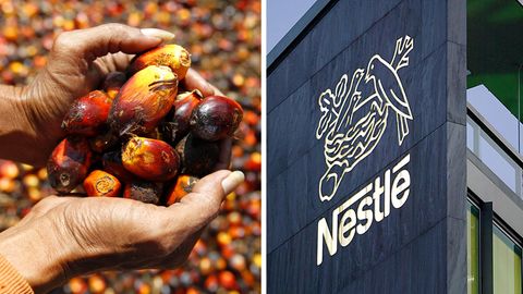 Nestlé hat Ärger mit Palmöl-Initiative