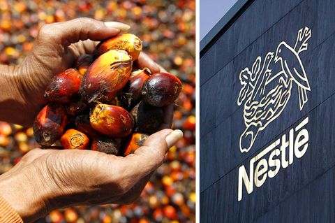 Nestlé hat Ärger mit Palmöl-Initiative