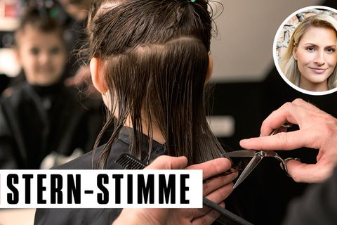 Die Mücke wusste nicht, worauf sie sich einließ, als sie mutig zum Friseur marschierte