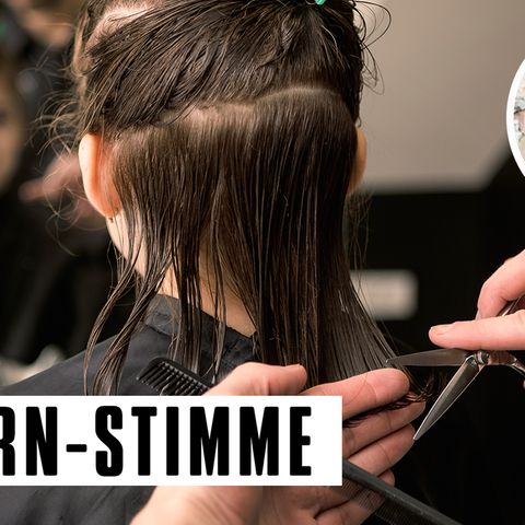 Die Mücke wusste nicht, worauf sie sich einließ, als sie mutig zum Friseur marschierte