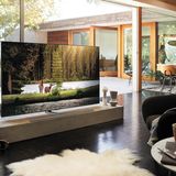 Durch das enorm helle Bild liefert der Samsung Q9FN auch bei Tageslicht ein hervorragendes Bild