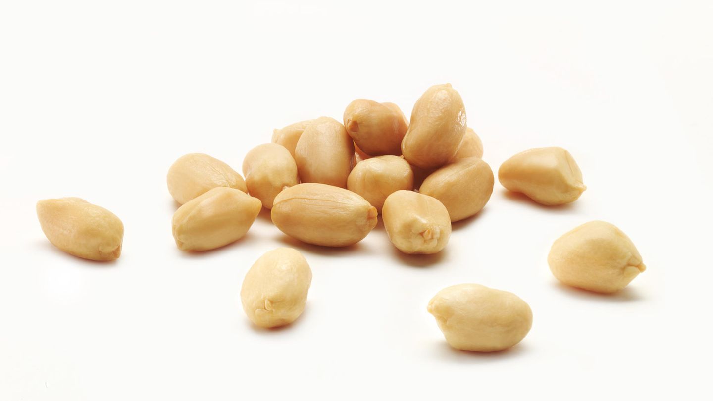 Gut zu wissen: Steckbrief Erdnuss Bezogen auf jeweils 100 Gramm - Kalorien: 560 kcal; Fett: 48 Gramm; Eiweiß: 25 Gramm; Ballaststoffe: 12 Gramm Erdnüsse sind streng genommen keine Nüsse, sondern zählen zu den Hülsenfrüchten. Sie enthalten deshalb etwas weniger Fett als herkömmliche Nüsse. Sportler schätzen die Hülsenfrüchte vor allem wegen ihres hohen Eiweißgehalts. In der Erdnuss steckt reichlich Folsäure. Sie ist wichtig für den Stoffwechsel und beteiligt an vielen Wachstums- und Zellteilungsprozessen. Steckbrief Erdnuss Bezogen auf jeweils 100 Gramm - Kalorien: 560 kcal; Fett: 48 Gramm; Eiweiß: 25 Gramm; Ballaststoffe: 12 Gramm Erdnüsse sind streng genommen keine Nüsse, sondern zählen zu den Hülsenfrüchten. Sie enthalten deshalb etwas weniger Fett als herkömmliche Nüsse. Sportler schätzen die Hülsenfrüchte vor allem wegen ihres hohen Eiweißgehalts. In der Erdnuss steckt reichlich Folsäure. Sie ist wichtig für den Stoffwechsel und beteiligt an vielen Wachstums- und Zellteilungsprozessen.