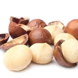 Steckbrief Macadamia  Bezogen auf jeweils 100 Gramm: Kalorien: 687 kcal; Fett: 73 Gramm; Eiweiß: 8 Gramm; Ballaststoffe: 11 Gramm  Macadamia-Nüsse haben unter allen Nüssen den höchsten Fettgehalt, was ihnen einen hervorragenden Geschmack verleiht. Leider wird die Nuss jedoch sehr schnell ranzig. Es empfiehlt sich daher, geröstete Nüsse zu kaufen und diese dunkel, kühl und vakuumverpackt aufzubewahren. Die Macadamia enthält im Vergleich zu anderen Nüssen viel Thiamin, das auch unter dem Namen Vitamin B1 bekannt ist. Es unterstützt die Nervenfunktion.