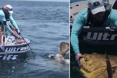 Gigantischer Fang: Riesiger Fisch zerstört Angel von Hobby-Fischer, doch der gibt den Kampf nicht auf