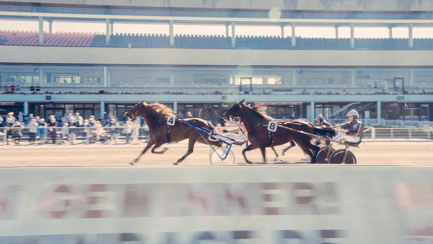 Adrenalin im Oval? Die Trabrennbahn in Hamburg-Bahrenfeld. Nicht im Bild: Joachim Hay, einige Längen zurück