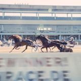 Adrenalin im Oval? Die Trabrennbahn in Hamburg-Bahrenfeld. Nicht im Bild: Joachim Hay, einige Längen zurück