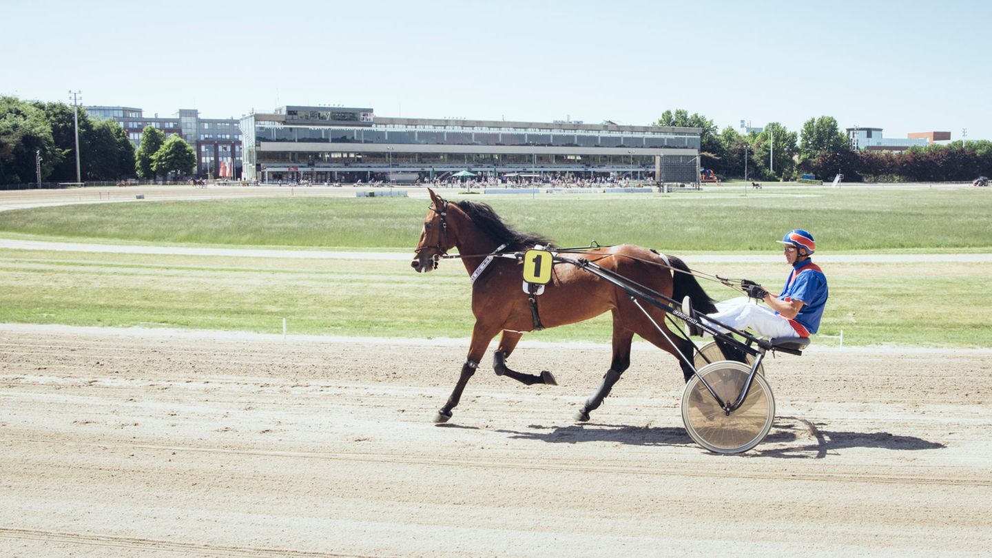 Auf Platz #1 ist der Mann (Hay) einmal getrabt. Aber nicht mit Pferd #1 (Bibi)
