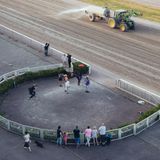 Einer gewinnt. Ein anderer schied "nach offensivem Vortrag aus, denn der zuweilen eigenwillige Dunkelfuchs ging im Schlussbogen nicht mehr vorwärts" (Rennbericht)