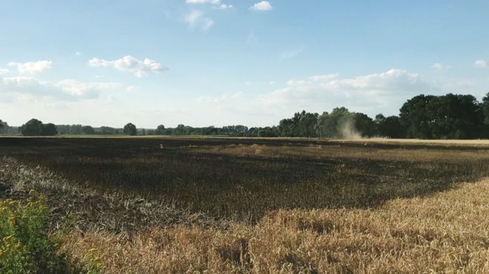Feld abgebrannt Feld abgebrannt