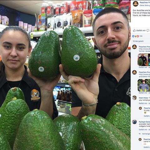 Zwei Supermarktangestellte halten Avozillas hoch, die so groß wie ihr Kopf sind