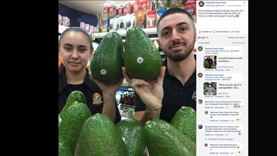 Zwei Supermarktangestellte halten Avozillas hoch, die so groß wie ihr Kopf sind