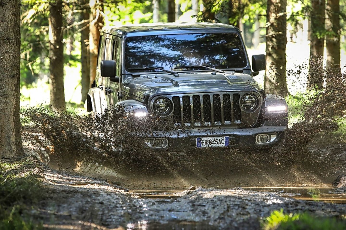 Der Jeep Wrangler kommt auch im Gelände klar